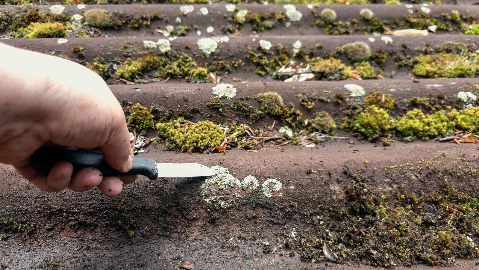 Roof Cleaning Wakefield
